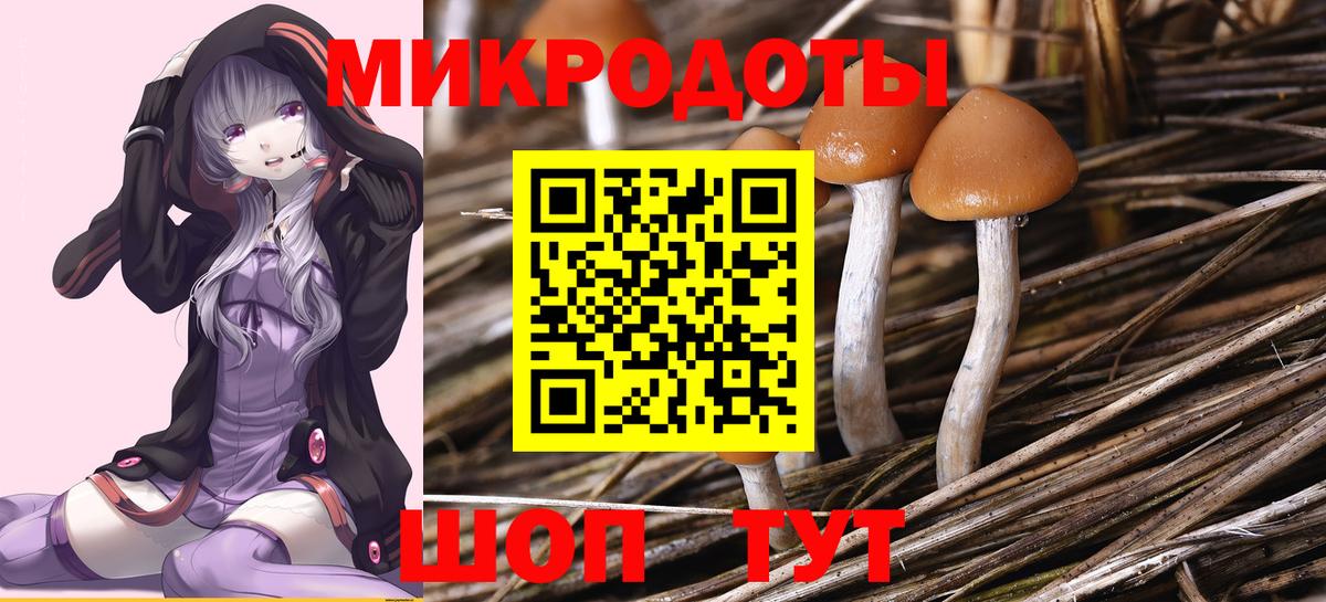 Галлюциногенные грибы MAGIC MUSHROOMS Электросталь