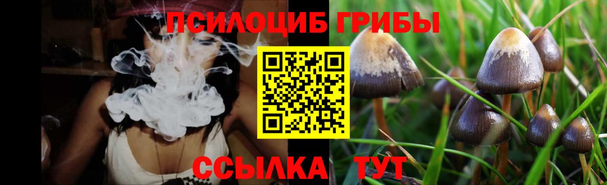 Галлюциногенные грибы MAGIC MUSHROOMS  Вход с VPN  Электросталь 